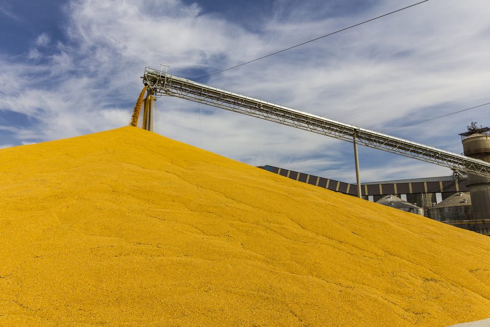 Bühler unveils upgraded grain‑handling line to boost throughput and reduce dust emissions