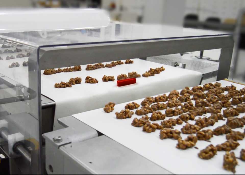 The Critical Role of Routine Metal Detector Testing in Food Safety
