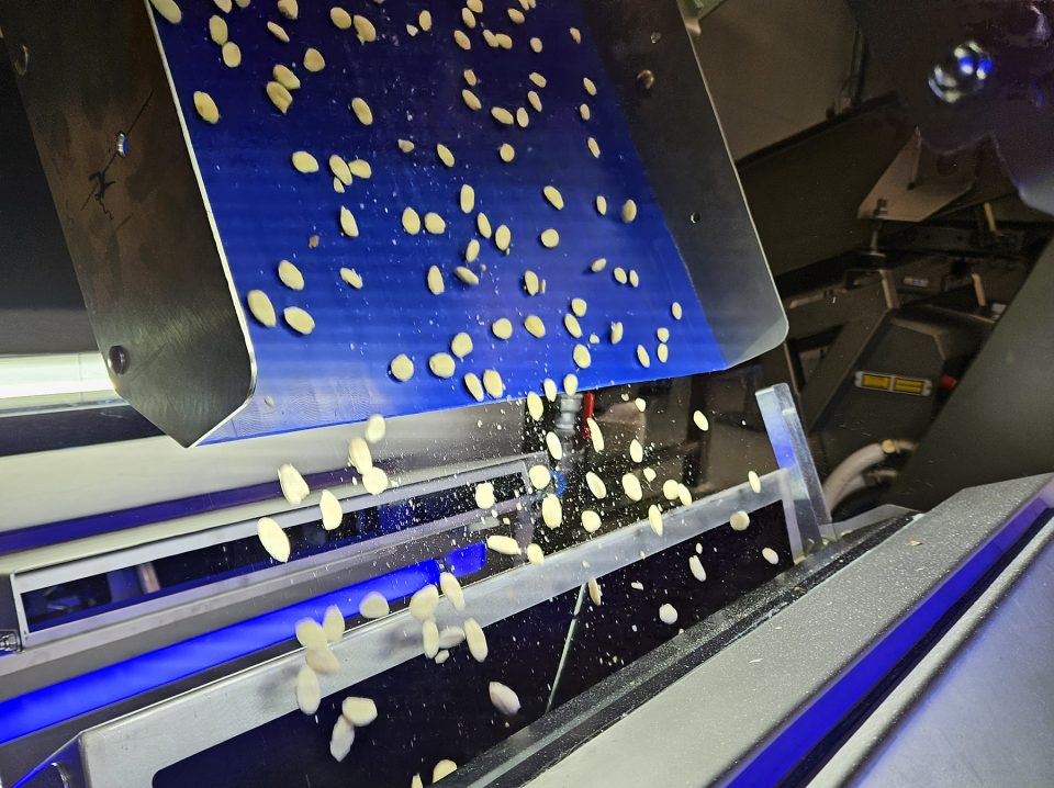 Optical sorters for nuts