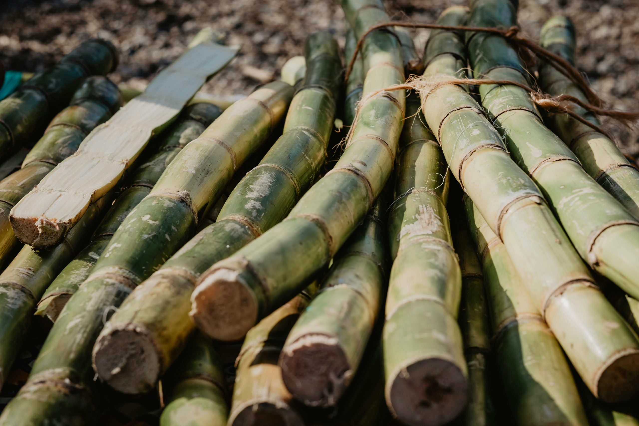 Abbey Logistics extends partnership with British Sugar